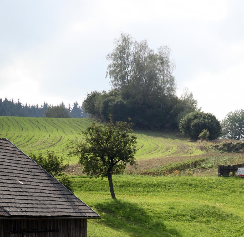 Ferienhof Stanzl Rappottenstein Luaran gambar